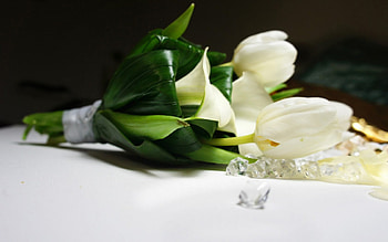 White Bouquet, bouquet, for bride, beautiful, tulips, white flowers HD wallpaper