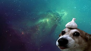 Share your - Random, Aesthetic HD wallpaper