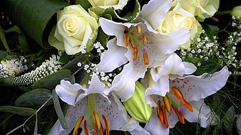 Bouquet of lilies and roses, Roses, White, Tenderness, Bouquet HD wallpaper