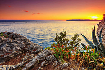 Californian Sunset, sea, plants, sky, rocks, new mexico, agave HD wallpaper