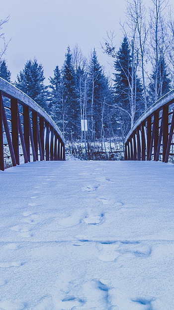 Snow on the Bridge, bridge, snow HD phone wallpaper