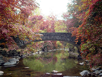 Bridge, bridges, rivers HD wallpaper