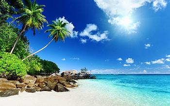 Tropical island vibes, Exotic beauty, Lush surroundings, Paradise found HD wallpaper