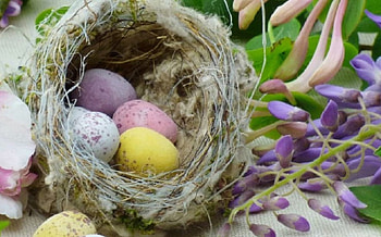 Easter Nest, Easter eggs, still life, abstract, nest HD wallpaper