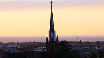 Stockton travels, Traffic citation payment, Municipal services, Convenient process HD wallpaper