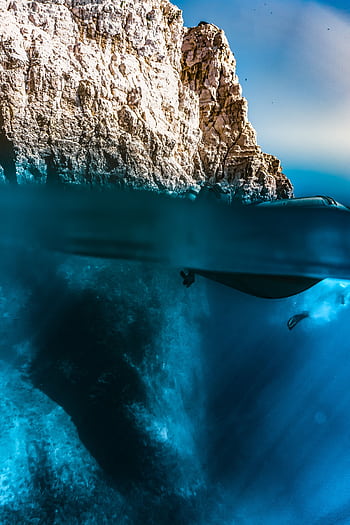 Epic split-level featuring sea cliffs and underwater diver, showcasing adventure and exploration. HD phone wallpaper