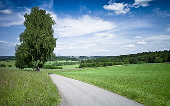 Landscape, Trees, Fields, Sky, Roads, Clouds HD wallpaper