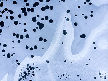 Macro, Texture, Textures, Stains, Spots, Points, Point HD wallpaper