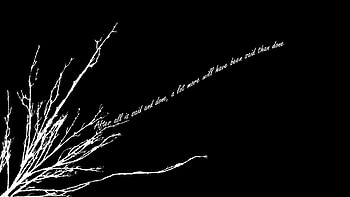 Humor, Quote HD wallpaper