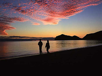 Sunset couple, light, love, couple, nature, water, sun, sunset HD wallpaper