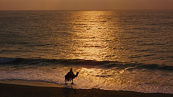 Lawrence of Arabia, Aesthetic , Iconic film, Timeless beauty HD wallpaper