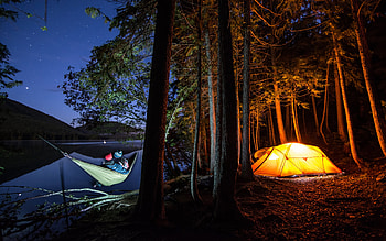 Camping, nature, tent, forest HD wallpaper