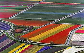 rainbow fields, landscape, colorful, rainbow, field HD wallpaper