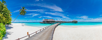 The Maldives, Sand, Bridge, Sea, Tropics, Resorts HD wallpaper