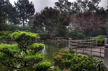 Nature, Playground, Platform, Vegetation, Garden, Mainly Cloudy, Overcast, Pond HD wallpaper