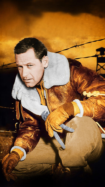 Stalag 17 (2022) movie HD phone wallpaper