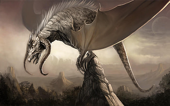 Fantasy, Dragons HD wallpaper