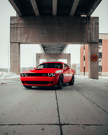 Sports Car, Car, Sports, Cars, Front View, Dodge, Dodge Challenger Srt HD phone wallpaper