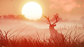Ghost Of Tsuhiuma In Wild , ghost-of-tsushima, reindeer, deer, 2021-games, games HD wallpaper