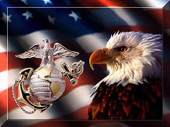 THE USMC, usmc, usa HD wallpaper