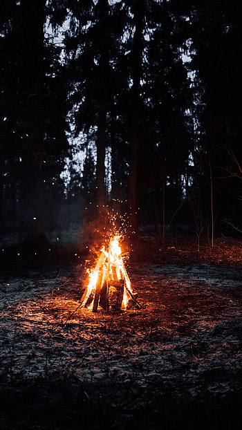Bonfire, Night Camp Bonfire, night bonfire camp HD phone wallpaper