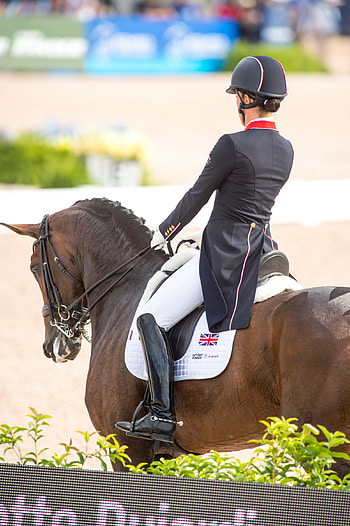 Dressage sports, Dressage rider journey, Reach grand prix, Riding skill progression HD phone wallpaper