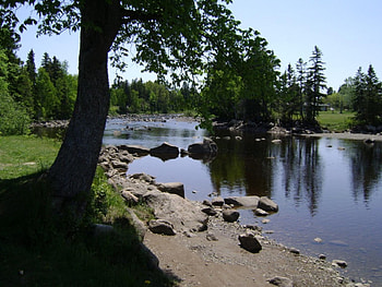untitle, trees, river, rocks HD wallpaper