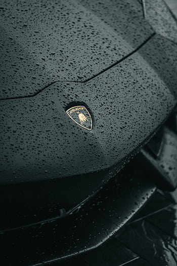 Detailed shot of Lamborghini emblem on a wet car hood showcasing luxury and elegance. HD phone wallpaper