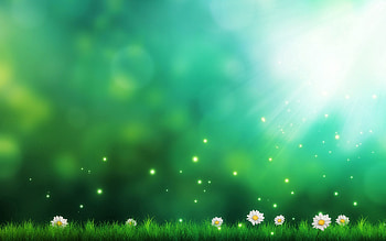 Grass, Art, Camomile, Lights, Shine, Light, Miscellanea, Miscellaneous HD wallpaper
