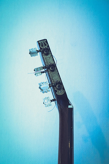 Music, Guitar, Vulture, Tuners, Splitting, Musical Instrument HD phone wallpaper