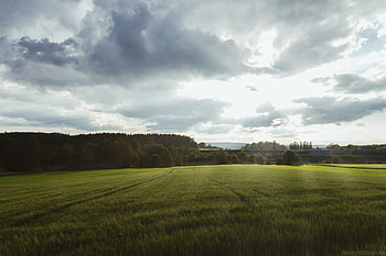 Landscape, Nature, Trees, Grass, Clouds, Horizon, Field, Germany, Bavaria, Wolfsbach HD wallpaper