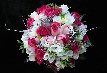 Flowers, Roses, Registration, Typography, Beauty, Bouquet, Black Background HD wallpaper