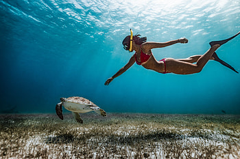 Is snorkeling an extreme sport, Thrilling underwater adventures, Dive into the extraordinary, Unleash your inner explorer HD wallpaper