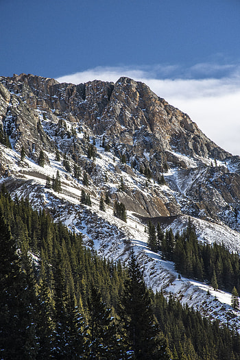 Nature, Trees, Snow, Mountain, Vertex, Top, Slope HD phone wallpaper