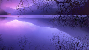 purple haze over lake crescent in washington, purple, trees, mountains, haze, lake HD wallpaper
