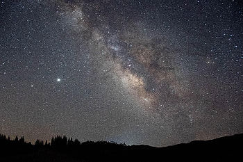 Trees, Stars, Night, Dark, Starry Sky, Nebula HD wallpaper