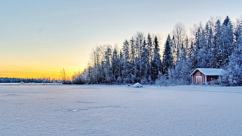 Nature, Trees, Snow, Building, Field HD wallpaper
