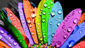 Cute For Computer HD wallpaper