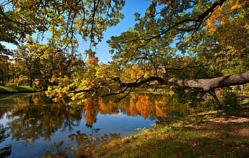Landscape, Nature, Trees, Autumn, Pond HD wallpaper