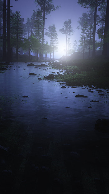 Water stream night forest, , Night beauty, Reflective atmosphere HD phone wallpaper