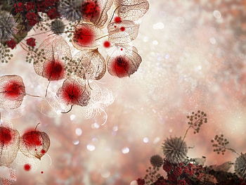 Plants, Background HD wallpaper