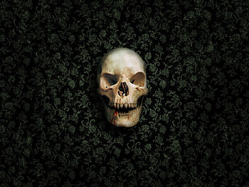 3D, Dark, Wall, Skull, Skeleton HD wallpaper