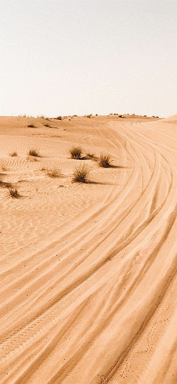 desert graphy, Raw nature's beauty, Capturing the moment, Immersive landscapes HD phone wallpaper