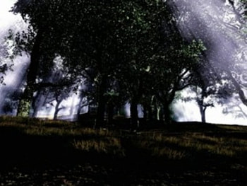 hidden sun, green, sun rays HD wallpaper