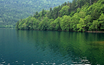 Landscape, Nature HD wallpaper