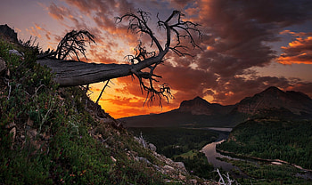 Sunset mountains, Tranquil trees, Majestic landscape, Glacier National Park HD wallpaper