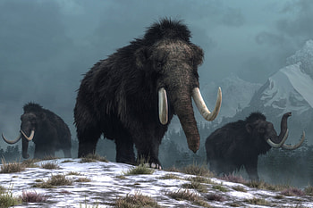 Bring back woolly mammoth, Valued at 400 million, Company's investment, Mammoth raises 75 million HD wallpaper