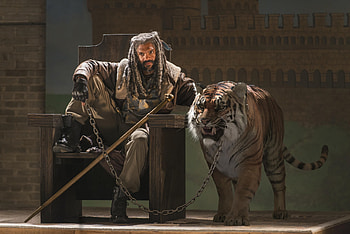 Ezekiel The Walking Dead Season 7, the-walking-dead, tv-shows, tiger HD wallpaper
