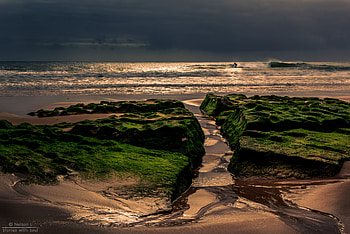 Portugal, , Beach, Ocean, Sand, Surfer HD wallpaper