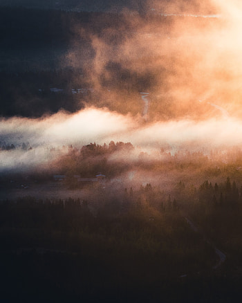 View From Above, Nature, Trees, Fog, Village HD phone wallpaper